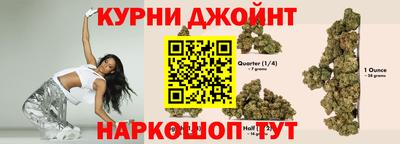 прущие грибы Шахты