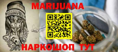 прущие грибы Шахты