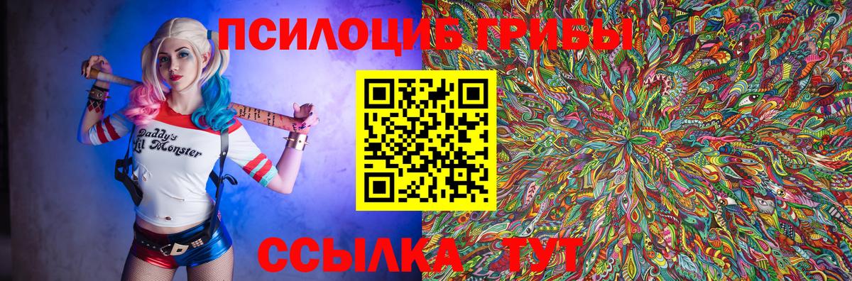 Галлюциногенные грибы Psilocybine cubensis Аша